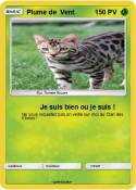 Plume de Vent