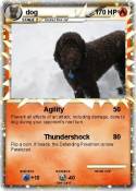 dog