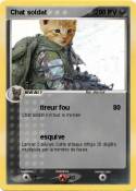 Chat soldat