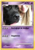 mastiff