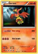 fire bird