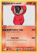 pug that ate
