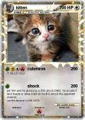 kitten