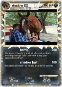 shadow EX