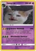 funny cat