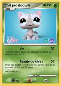 Chat pet shop