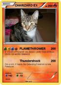 CHARIZARD EX