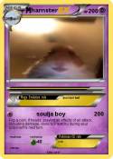 hamster