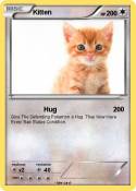Kitten
