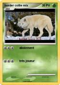 border collie