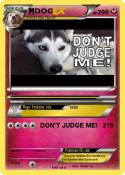 DOG