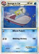 Sponge in Car