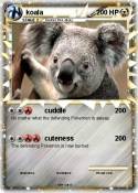 koala