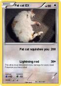 Fat cat EX