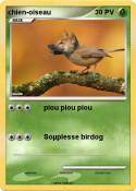 chien-oiseau
