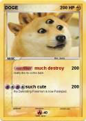 DOGE