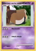 doberman vache