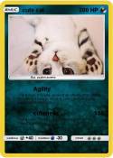 cute cat