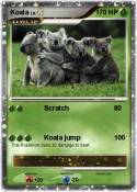 Koala