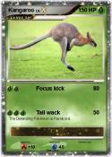 Kangaroo