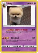 dawg