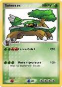 Torterra ex 1