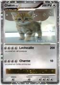 Chaton
