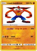 crash bandicoot