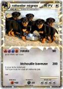 rottweiler mign