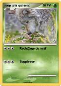 loup gris qui