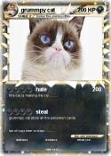 grummpy cat