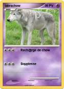 labrachow
