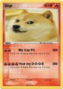 Doge
