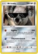 Mr koala