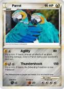 Parrot