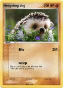 Hedgehog dog