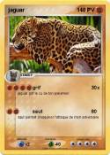 jaguar