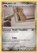Chat-mort