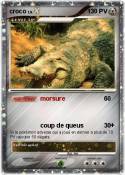 croco
