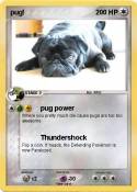 pug!