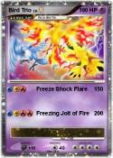 Bird Trio