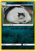 fuzzball of