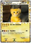 PikaKOT