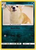 Corgi