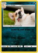 Corgi overlord