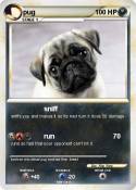 pug