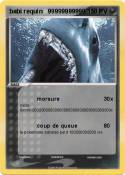 babi requin