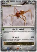 Ant