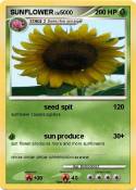 SUNFLOWER