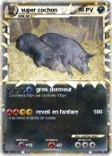 super cochon